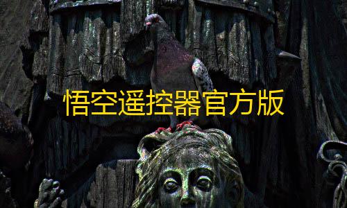 等保三级悟空遥控器官方版